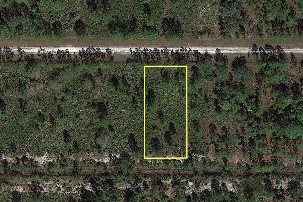 813 TROPICANA DRIVE INDIAN LAKE ESTATES, FL 33855