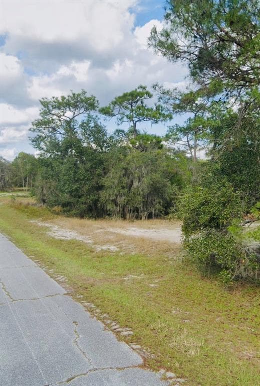 1309 ST AUGUSTINE COURT POINCIANA, FL 34759
