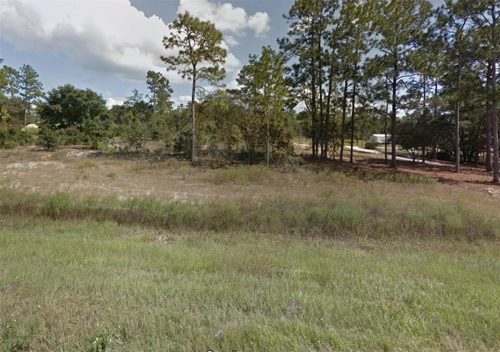 SE STATE ROAD 121 MORRISTON, FL 32668