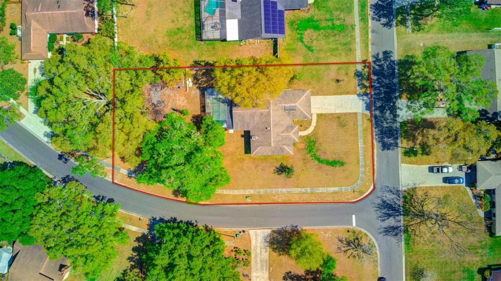 708 WILLOW BROOK COURT LUTZ, FL 33549