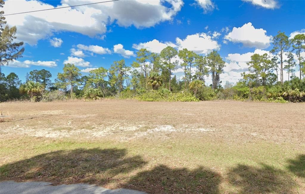 2319 NE 41ST LANE CAPE CORAL, FL 33909