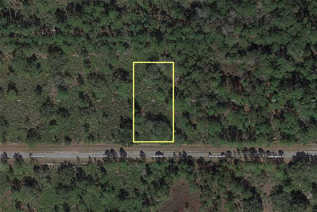 1024 ALLAMANDA DRIVE INDIAN LAKE ESTATES, FL 33855