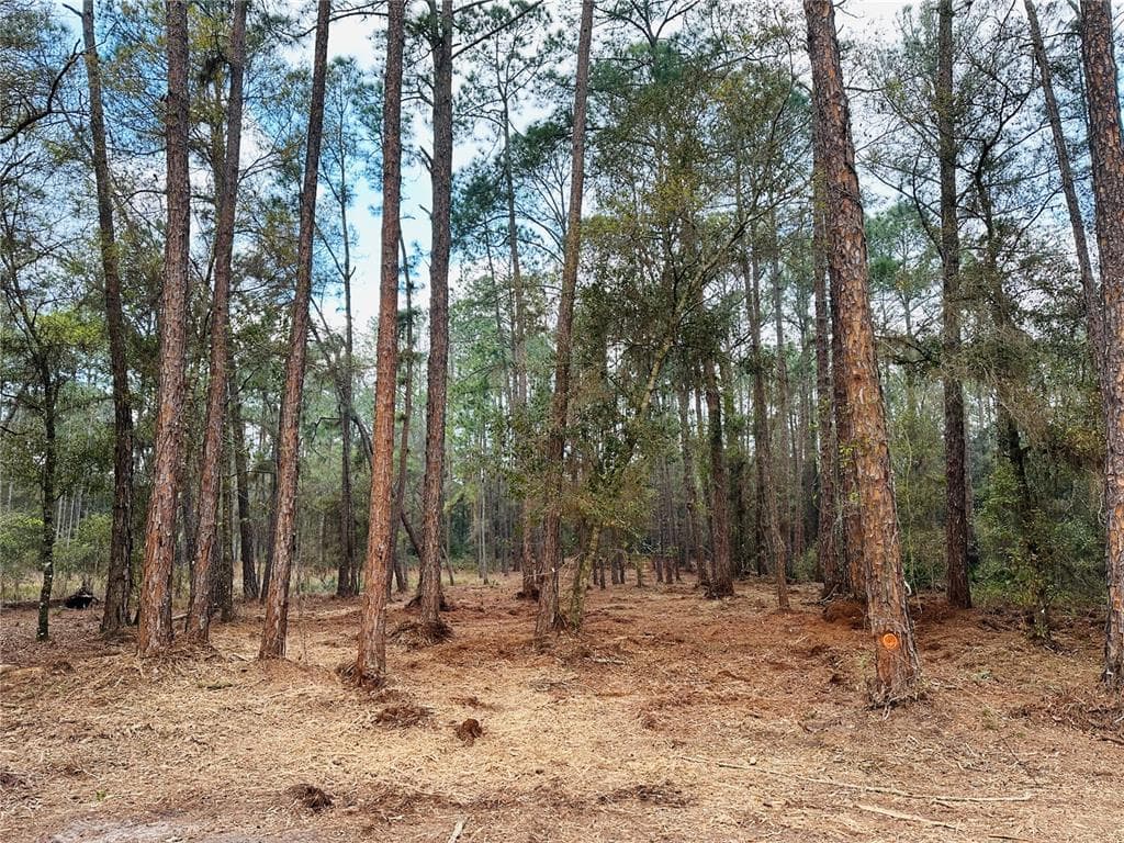 34389 GRINDSTONE DRIVE WEBSTER, FL 33597