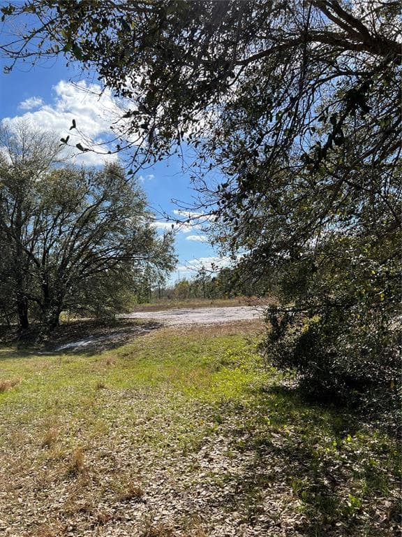 1453 S JURGENSON ROAD AVON PARK, FL 33825
