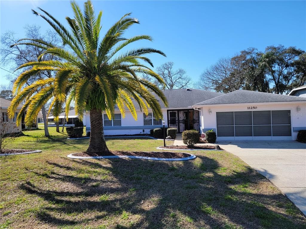 11250 RIDDLE DRIVE