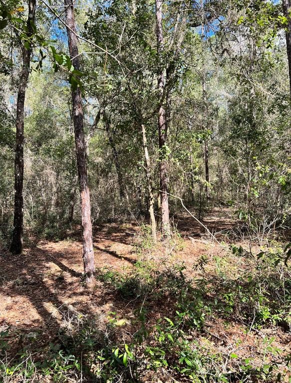 321 E MARQUETTE LANE CITRUS SPRINGS, FL 34434