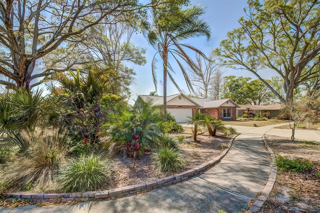 14311 DIPLOMAT DRIVE TAMPA, FL 33613