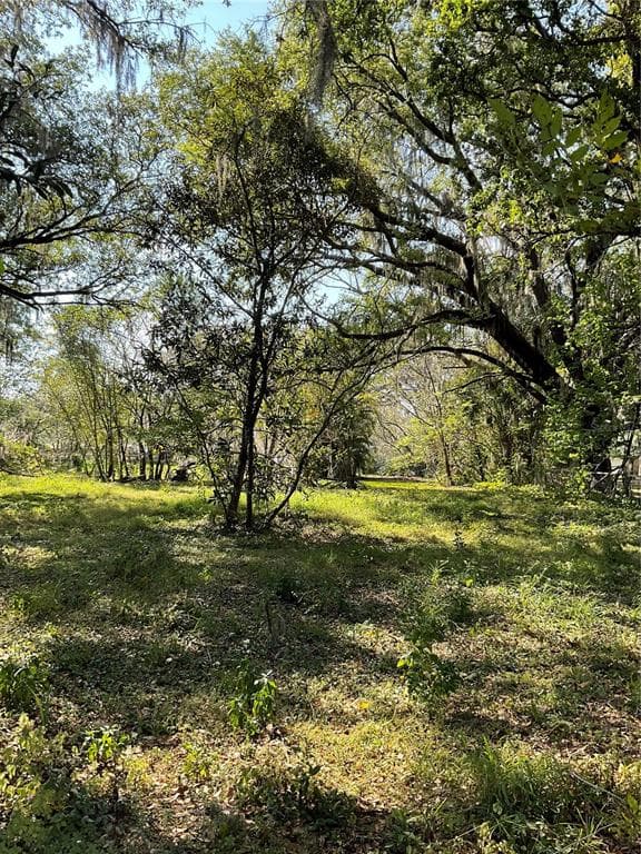 0 ELLIOTT STREET W LAKELAND, FL 33805