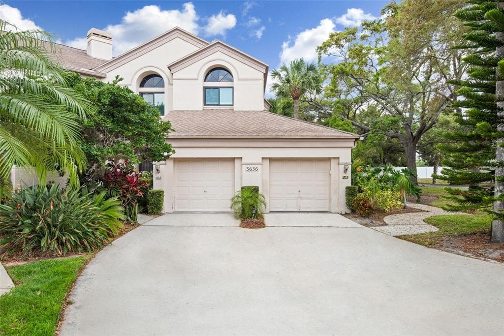 3636 OAK HAVEN DRIVE UNIT 203 PALM HARBOR, FL 34684