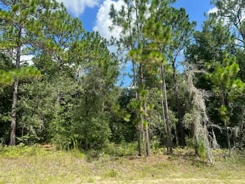 99 W GOLDCOAST PL CITRUS SPRINGS, FL 34434