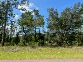 742 W GLENHAVEN DR CITRUS SPRINGS, FL 34434