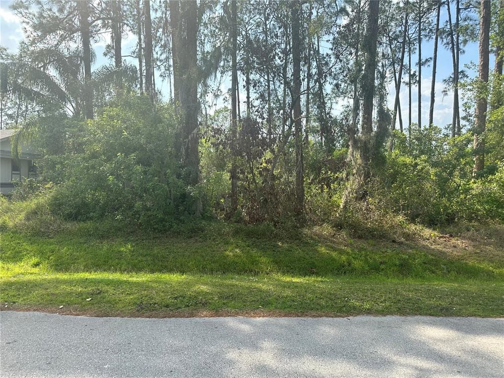 4011 BARBAROSSA AVENUE SEBRING, FL 33872