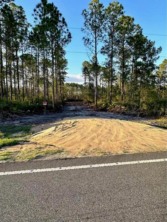 8800 E HWY 318 CITRA, FL 32113