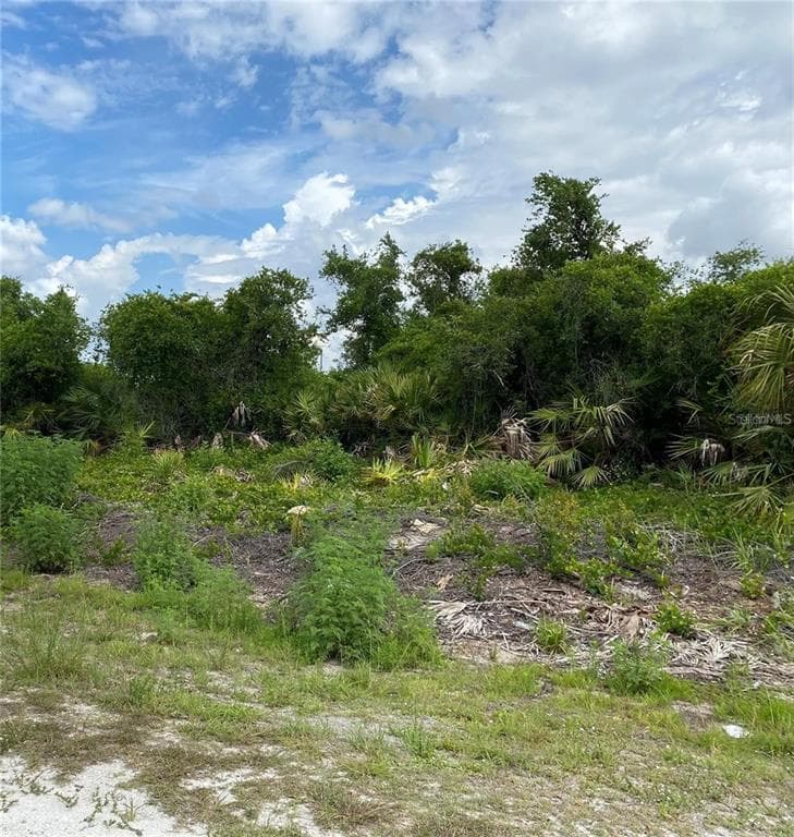 4195 E 30TH STREET ALVA, FL 33920