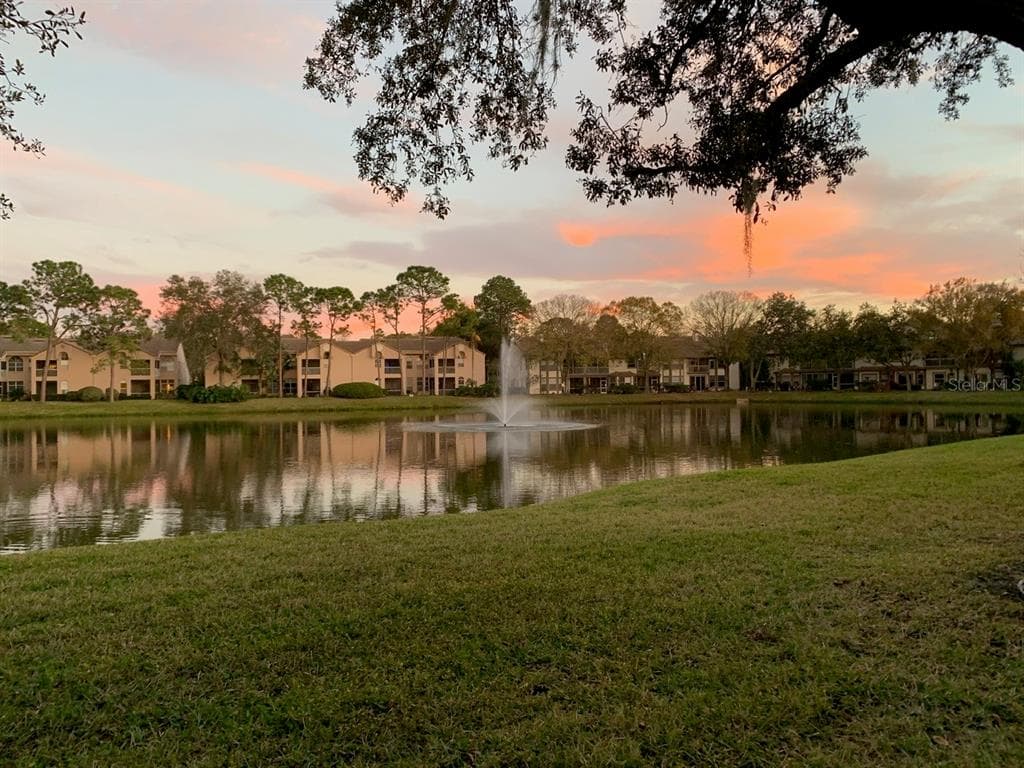 1233 CLAYS TRAIL OLDSMAR, FL 34677