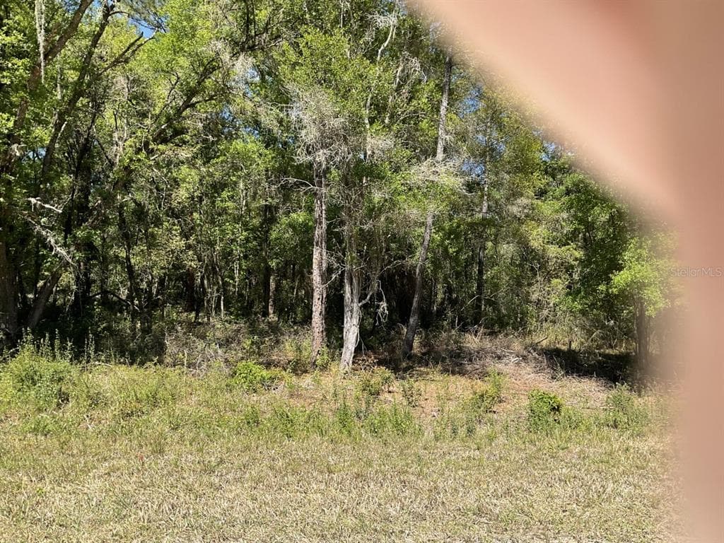 9148 PLYMOUTH ROCK DRIVE WEBSTER, FL 33597
