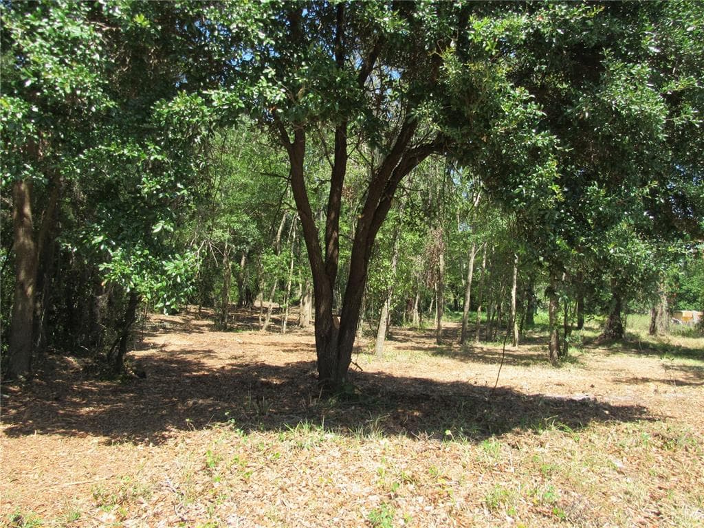 0 SWEET FERN DRIVE RIVERVIEW, FL 33569