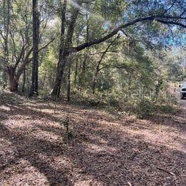 12423 N ELF POINT DUNNELLON, FL 34433