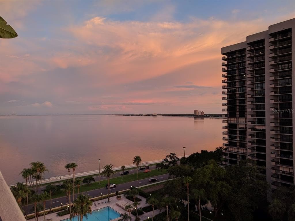 2401 BAYSHORE BOULEVARD UNIT 1203 TAMPA, FL 33629