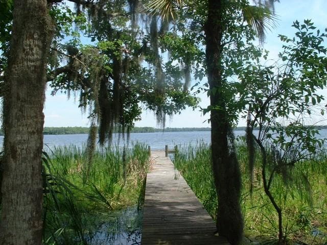 29551 NE 149TH STREET ROAD SALT SPRINGS, FL 32134