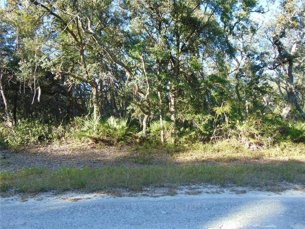 MANUEL STREET WEBSTER, FL 33597