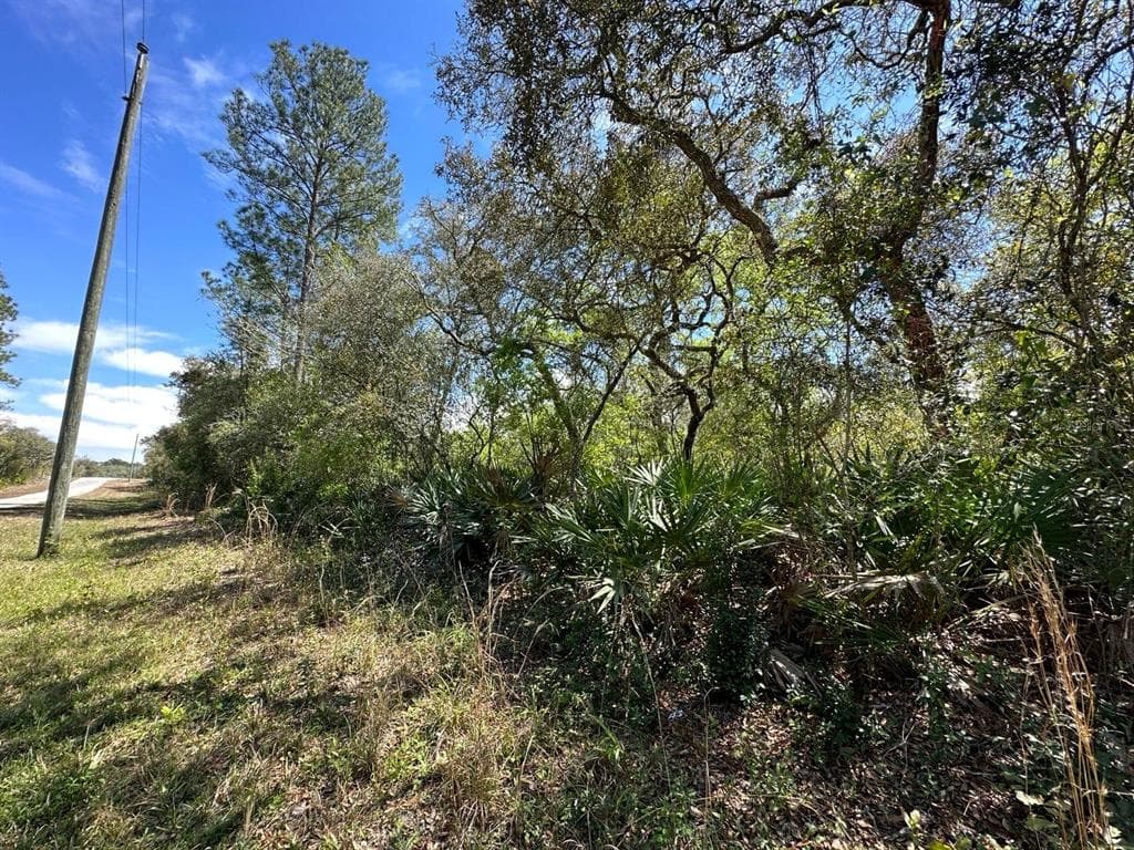 CREEKSTONE STREET WEBSTER, FL 33597