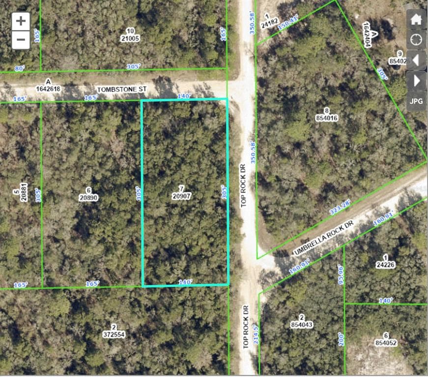 TOP ROCK DRIVE WEBSTER, FL 33597