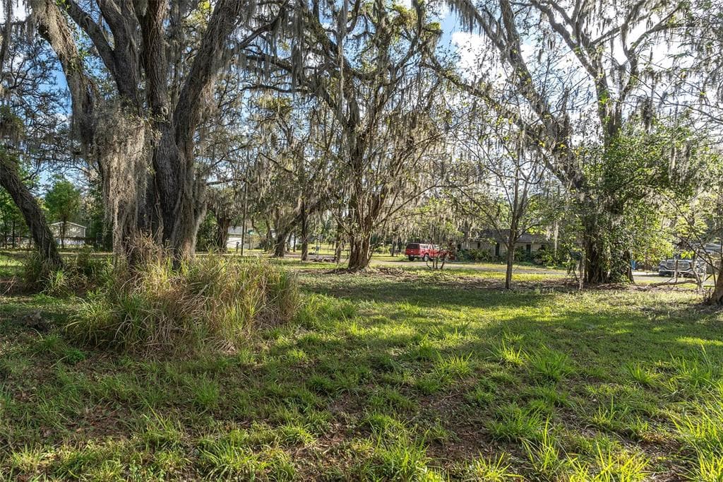 9323 RIPLEY ROAD UNIT B THONOTOSASSA, FL 33592