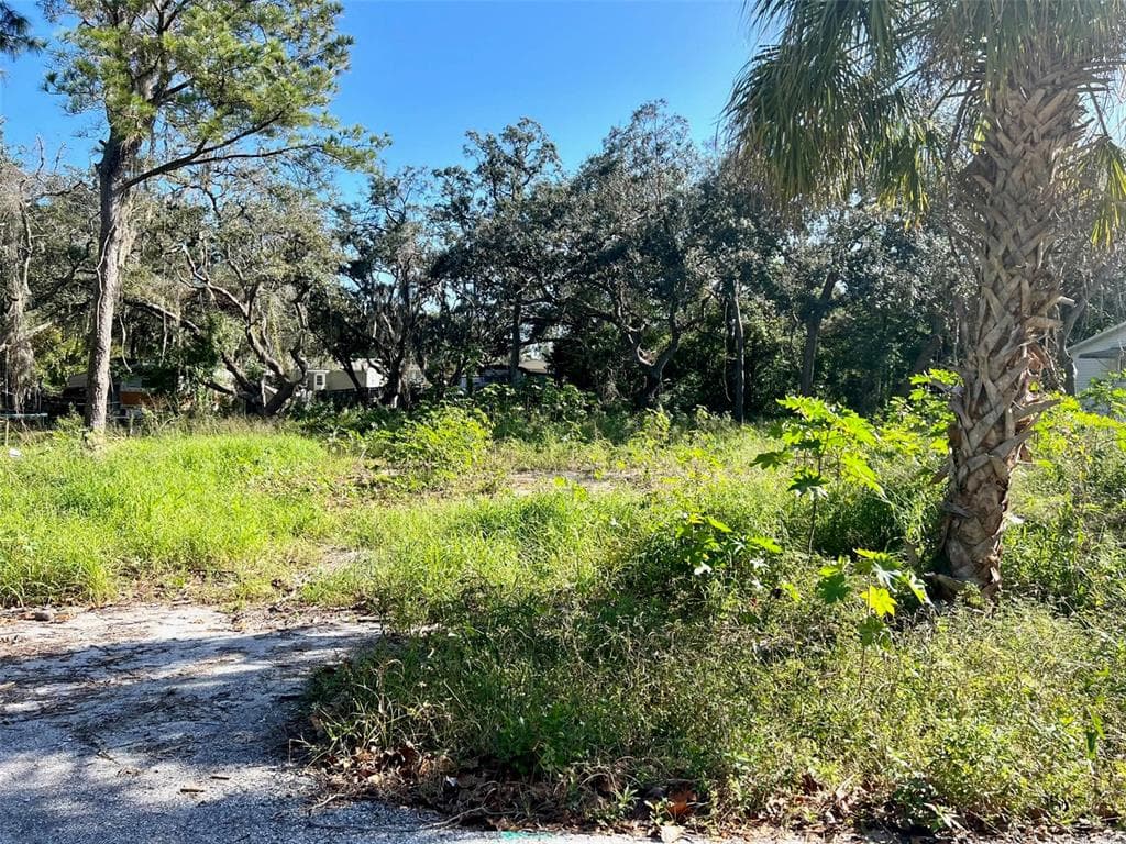 12208 ELKTON AVENUE HUDSON, FL 34667