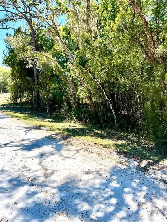 6271 NORMAN STREET WEBSTER, FL 33597