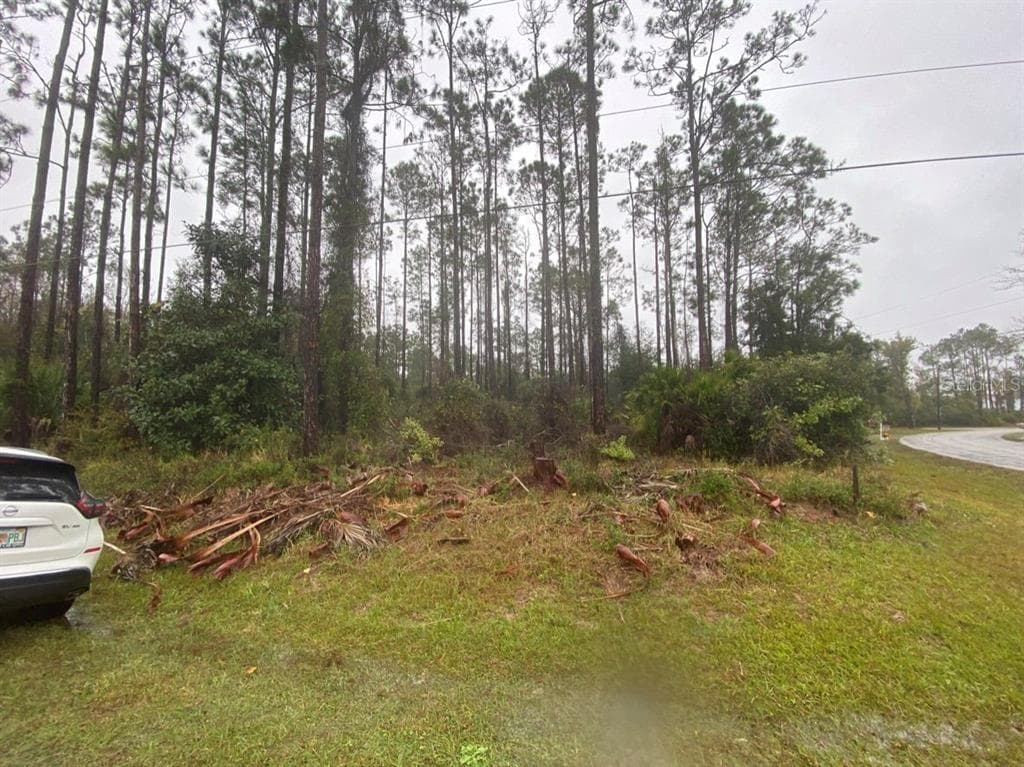 2 ZAMIA PLACE PALM COAST, FL 32164