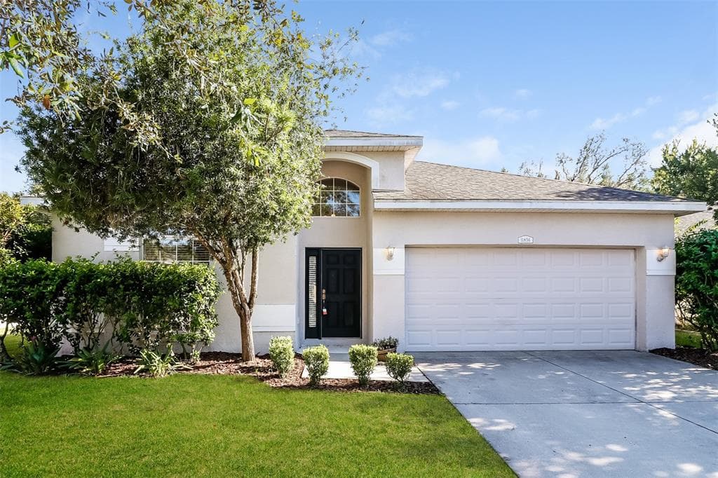 11856 COLONY LAKES BOULEVARD NEW PORT RICHEY, FL 34654