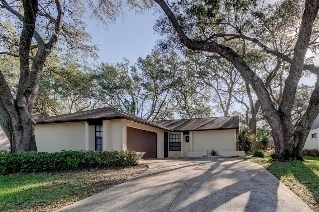 260 ARBOR GLEN DRIVE PALM HARBOR, FL 34683