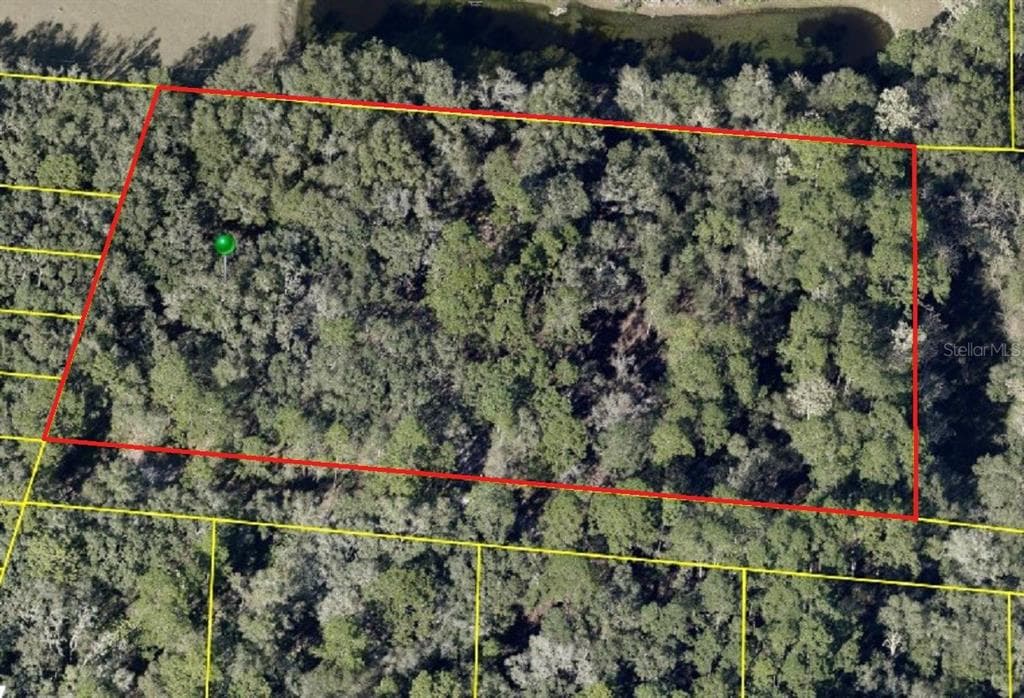 PINON DRIVE WEBSTER, FL 33597