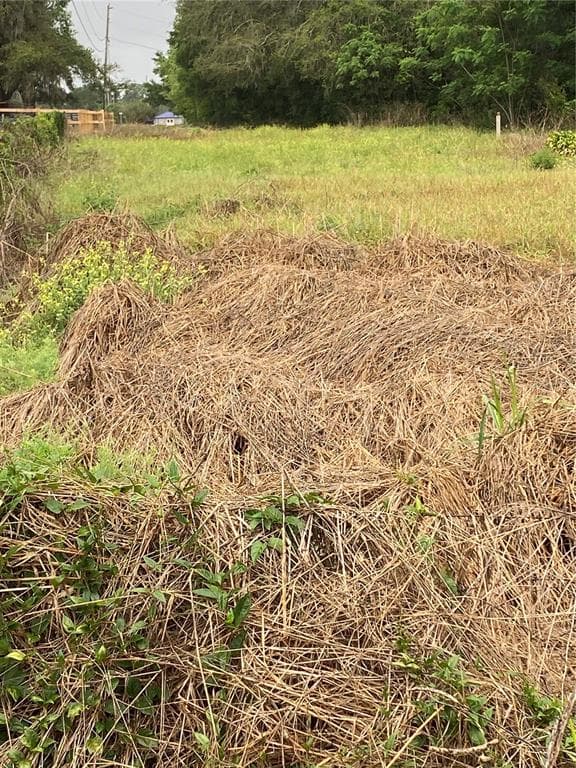 40950 STEWART ROAD DADE CITY, FL 33523