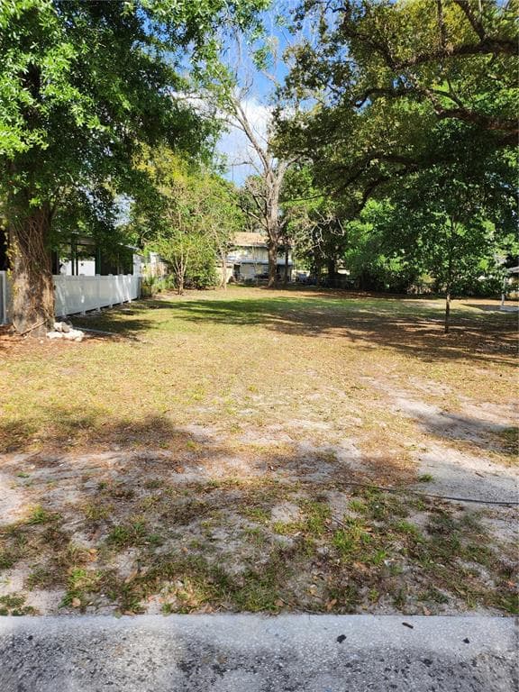 Lot 19 N MULBERRY STREET TAMPA, FL 33604