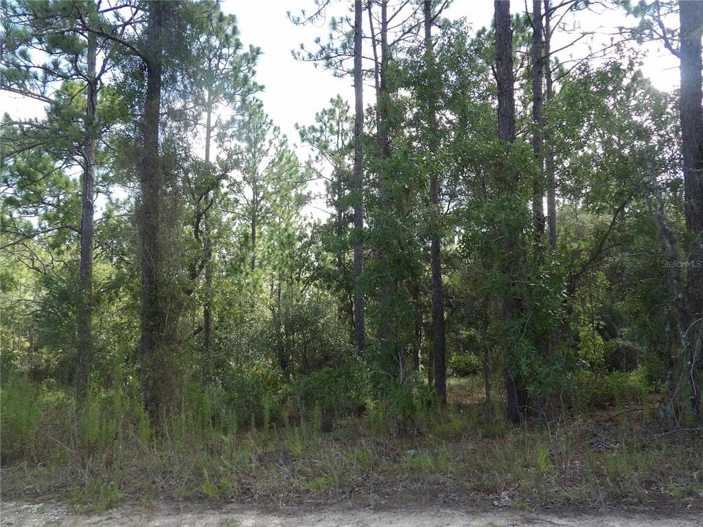 4353 N AMARILLO DRIVE BEVERLY HILLS, FL 34465
