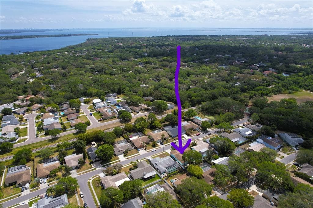 2089 SWAN LANE SAFETY HARBOR, FL 34695