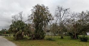 206 S WATER STREET PLANT CITY, FL 33563