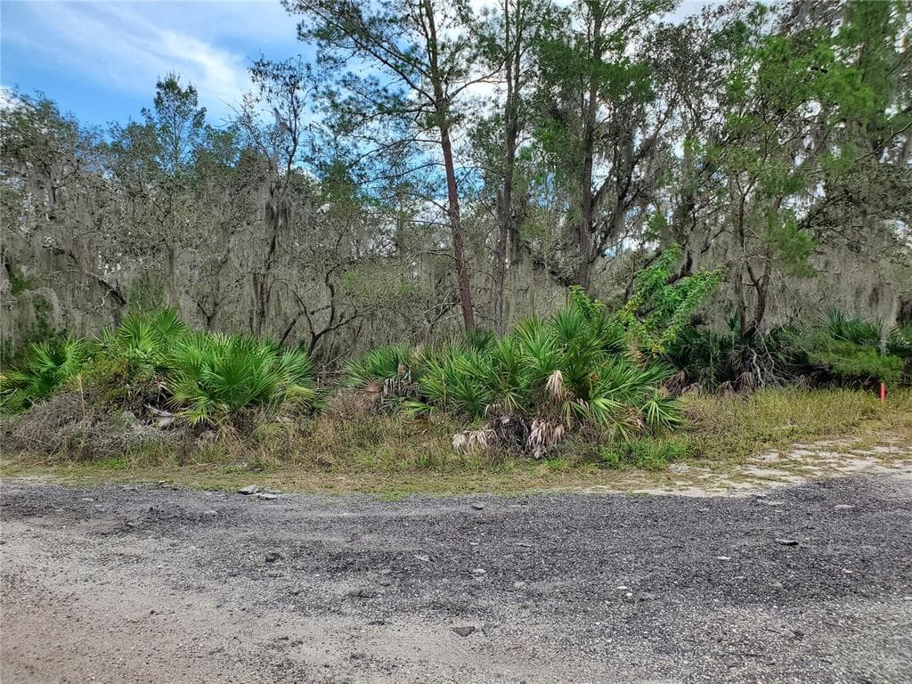 307 GRAY ROAD LITHIA, FL 33547