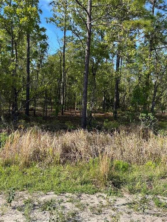 SW 91ST LANE DUNNELLON, FL 34430