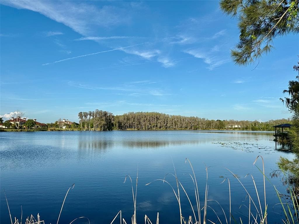 17117 BREEDERS CUP DRIVE ODESSA, FL 33556
