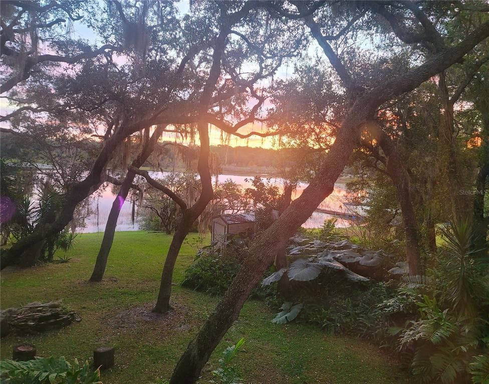 16541 SE 57TH PLACE OCKLAWAHA, FL 32179