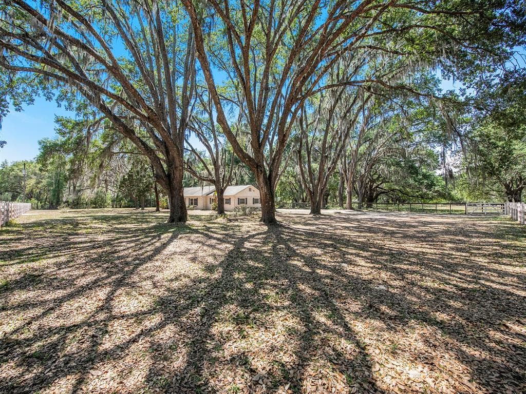 7549 BAY PINES DRIVE WESLEY CHAPEL, FL 33544