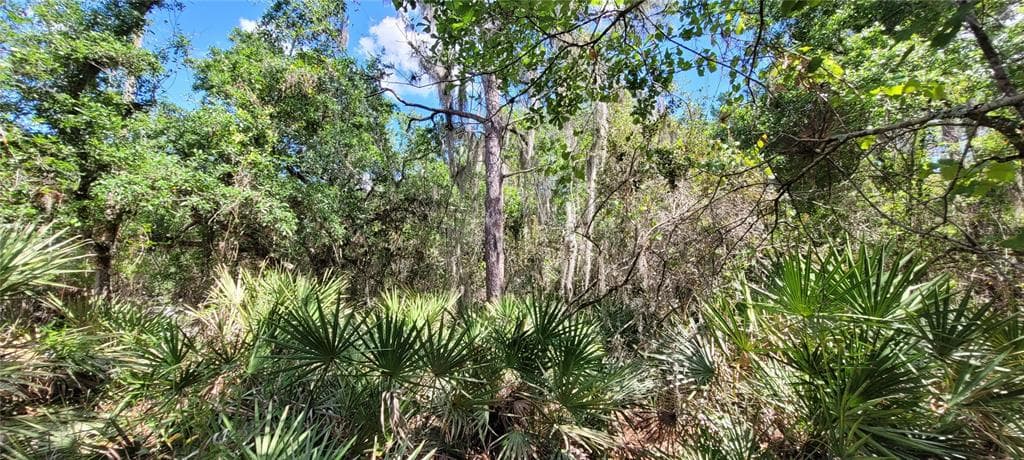 MARINA PARKWAY N LAKE WALES, FL 33898