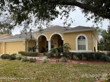 14131 NEWCASTLE AVENUE SPRING HILL, FL 34609