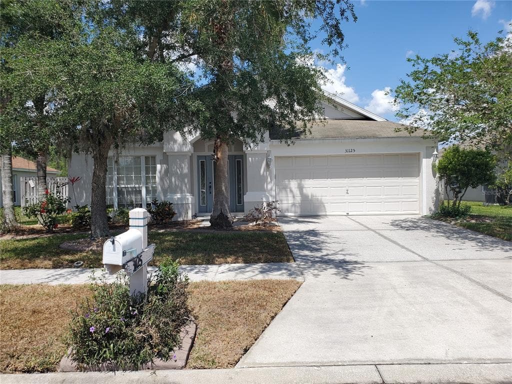 31125 HANNIGAN PLACE WESLEY CHAPEL, FL 33543