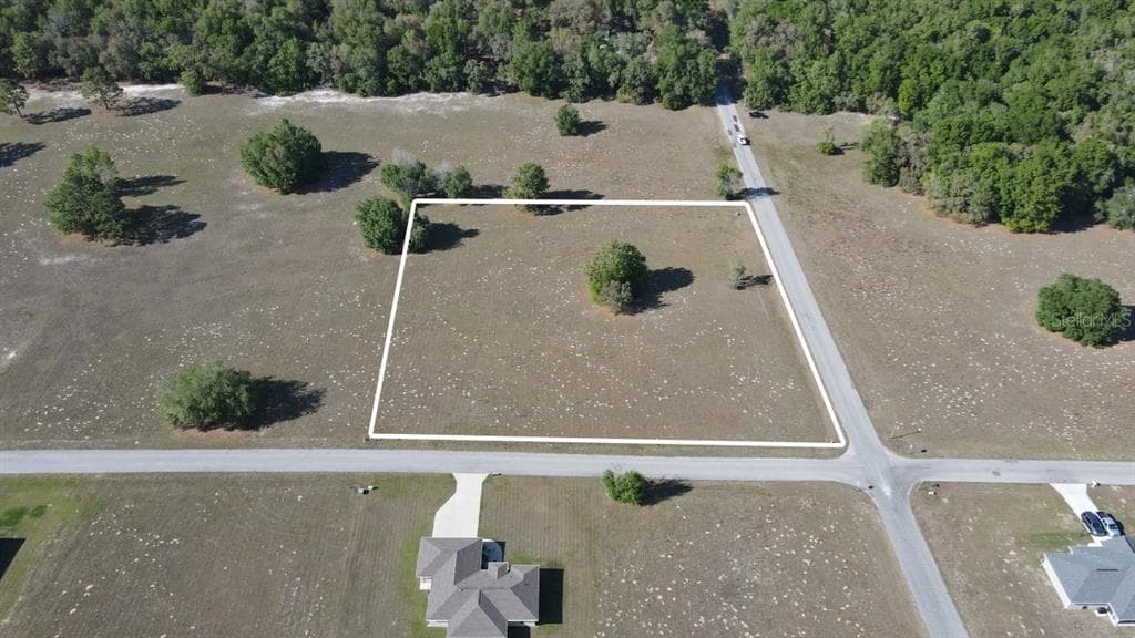 2924 N ANTHONY AVENUE HERNANDO, FL 34442