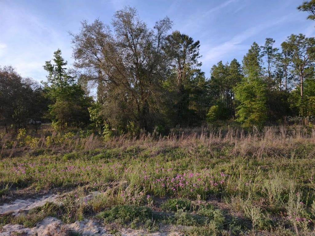 00 NE 40TH STREET WILLISTON, FL 32696
