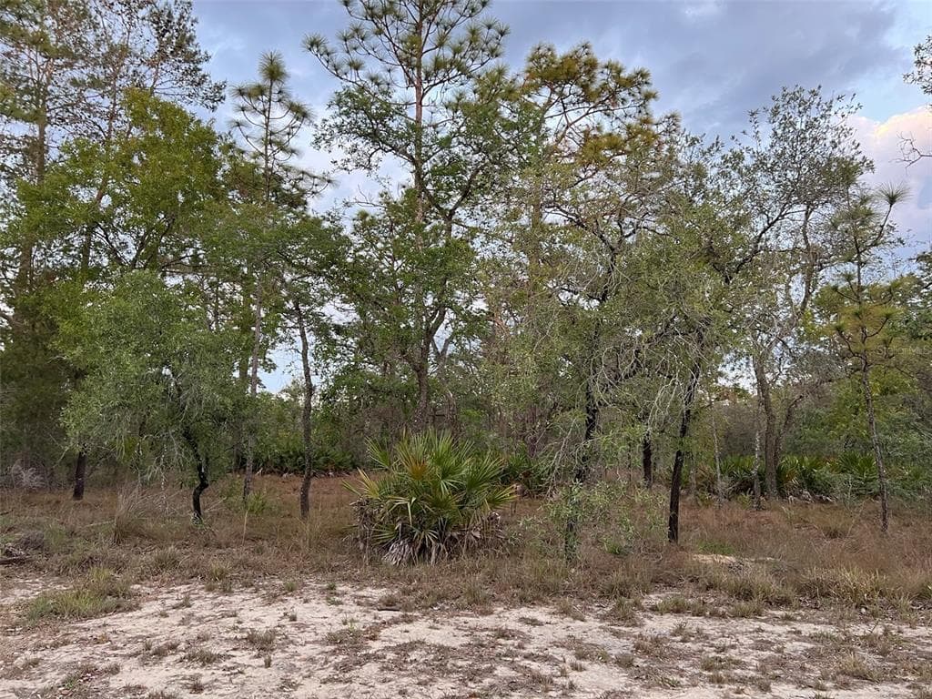 11164 HYDE STREET WEEKI WACHEE, FL 34614